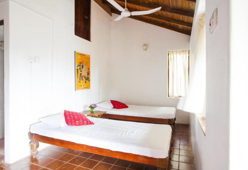 בית מלון כפרי Surf Lanka