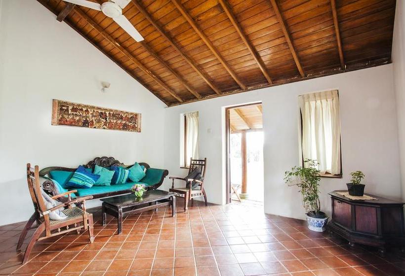 בית מלון כפרי Surf Lanka