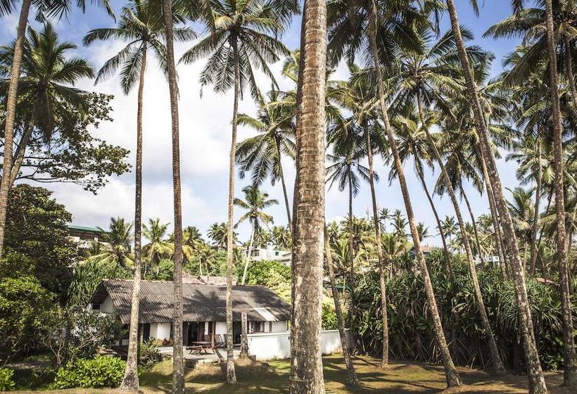 בית מלון כפרי Surf Lanka