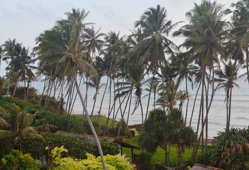 בית מלון כפרי Surf Lanka