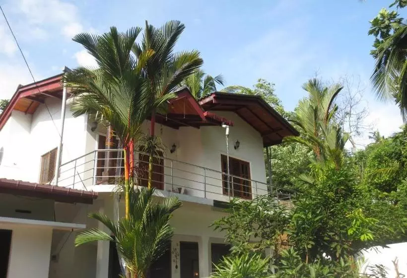 Jungle Holiday Home