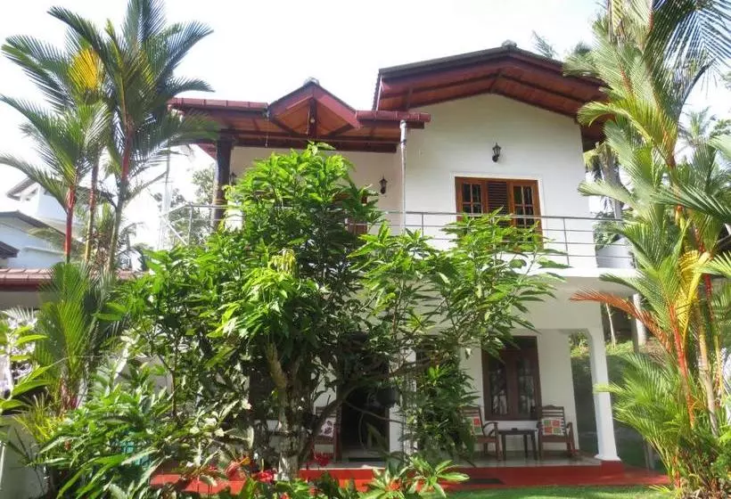 Jungle Holiday Home