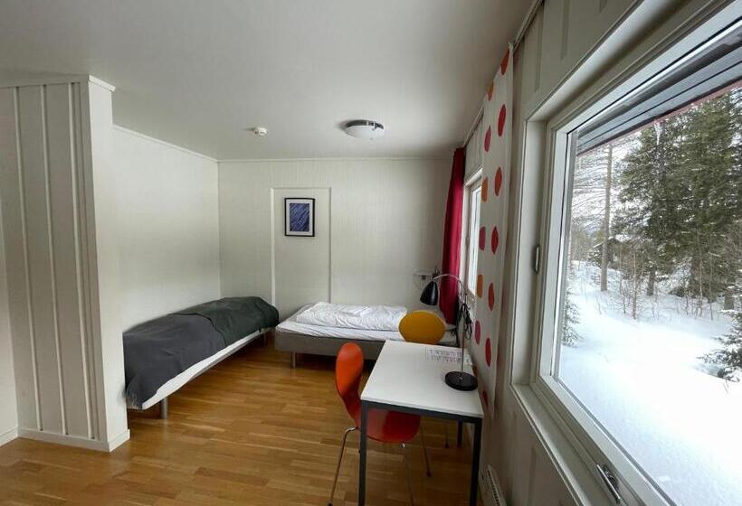 ユースホステル Rauland Vandrerhjem Akademiet