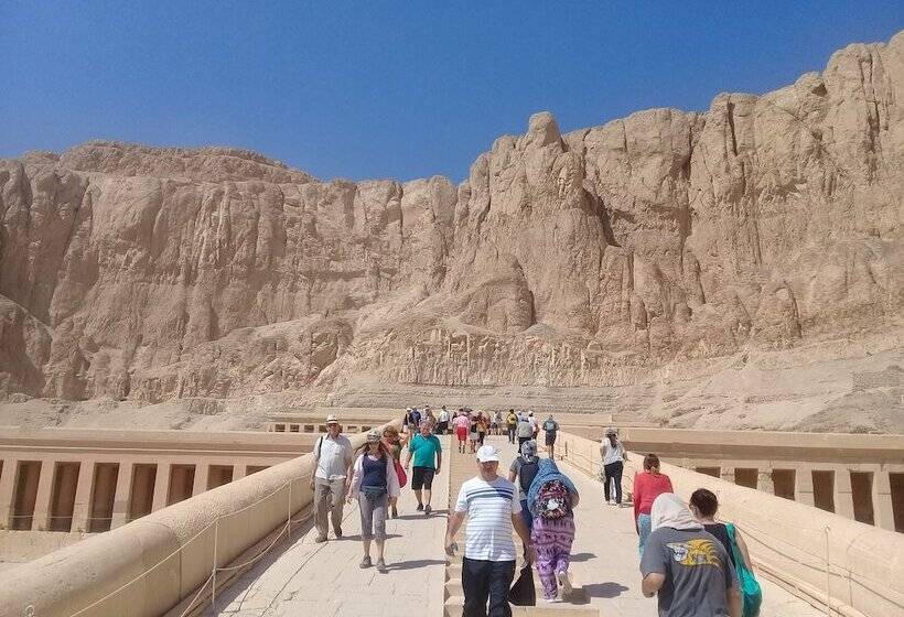 هاستل Venus Hotel Luxor 日本人 大歓迎