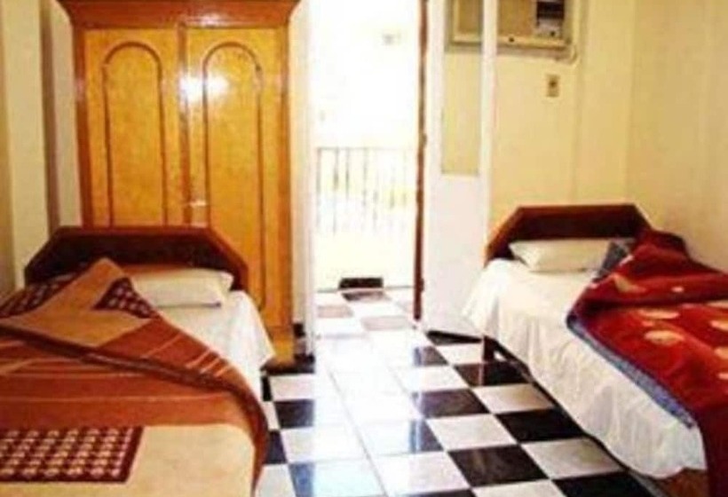 هاستل Venus Hotel Luxor 日本人 大歓迎