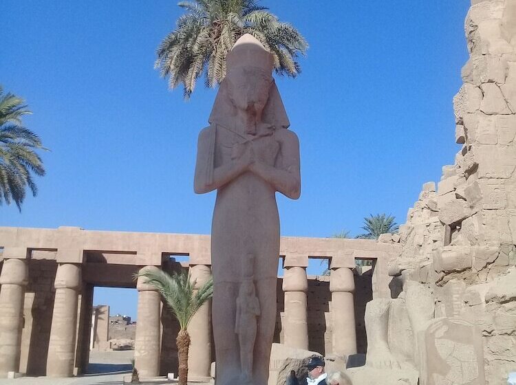 هاستل Venus Hotel Luxor 日本人 大歓迎