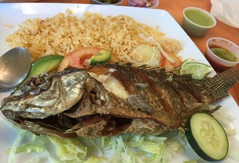 هاستل Venus Hotel Luxor 日本人 大歓迎