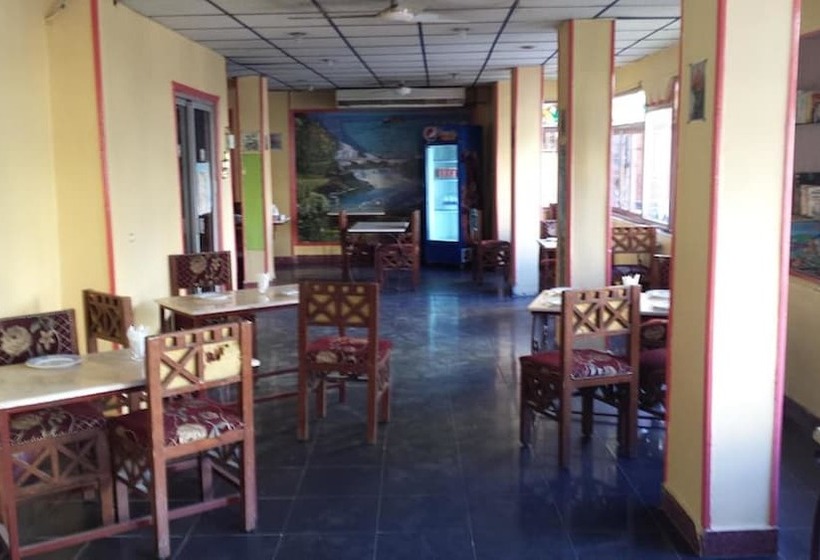 هاستل Venus Hotel Luxor 日本人 大歓迎