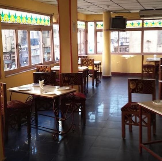 هاستل Venus Hotel Luxor 日本人 大歓迎