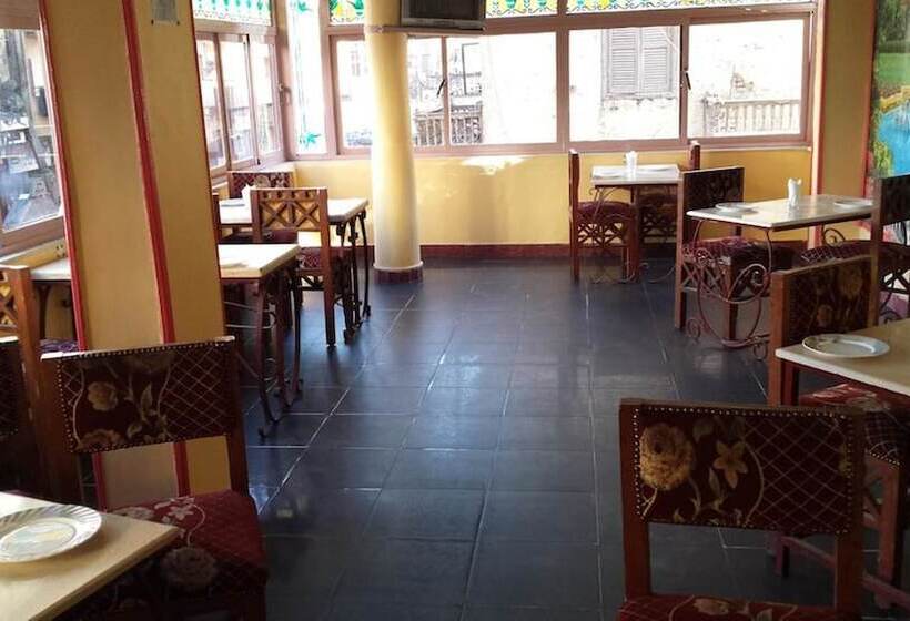 هاستل Venus Hotel Luxor 日本人 大歓迎