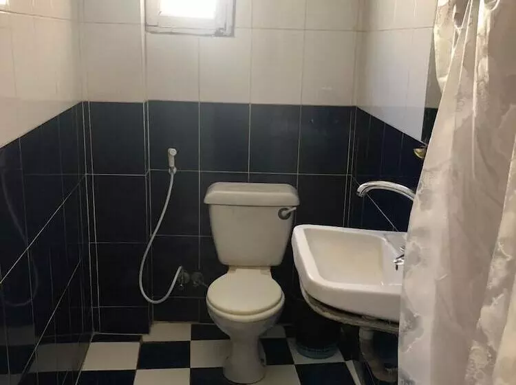 هاستل Venus Hotel Luxor 日本人 大歓迎