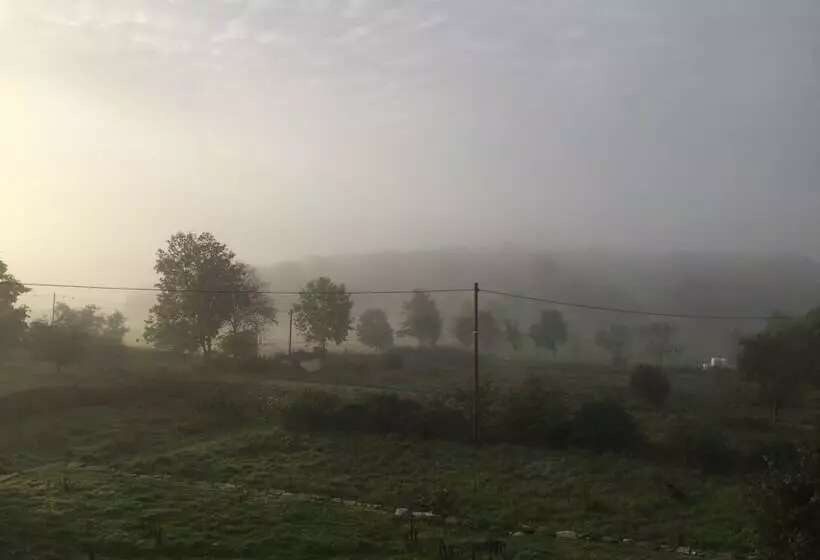 تختخواب و صبحانه Amiralsgården Werstorp