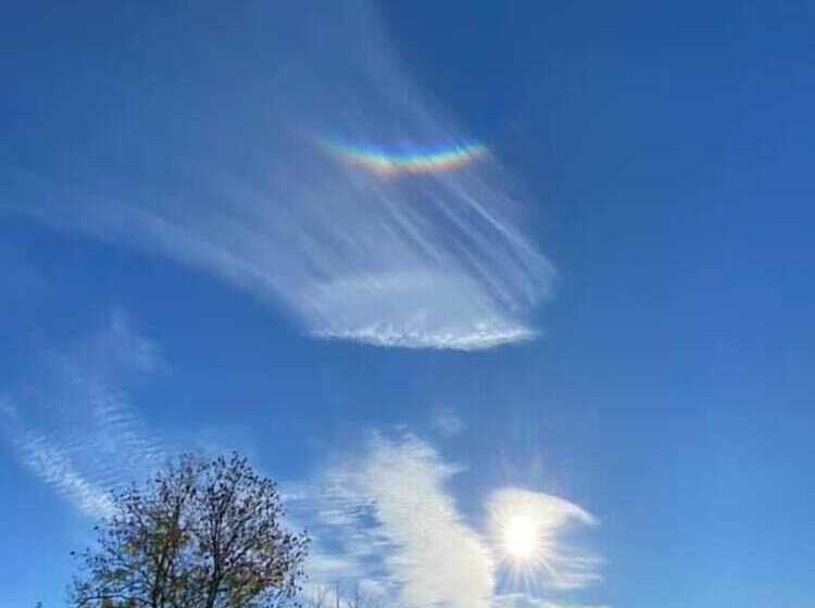 مبيت وإفطار Amiralsgården Werstorp