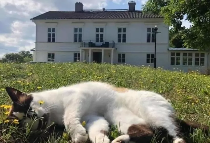 تختخواب و صبحانه Amiralsgården Werstorp