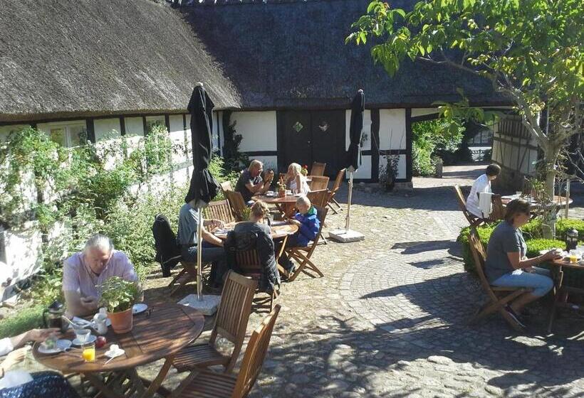 تختخواب و صبحانه Killegården På Kivik