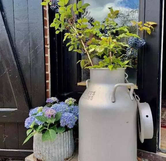 تختخواب و صبحانه Killegården På Kivik