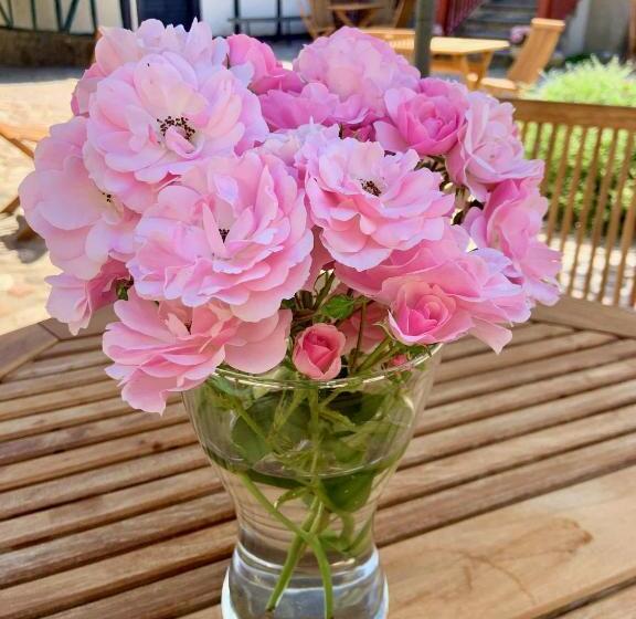 تختخواب و صبحانه Killegården På Kivik