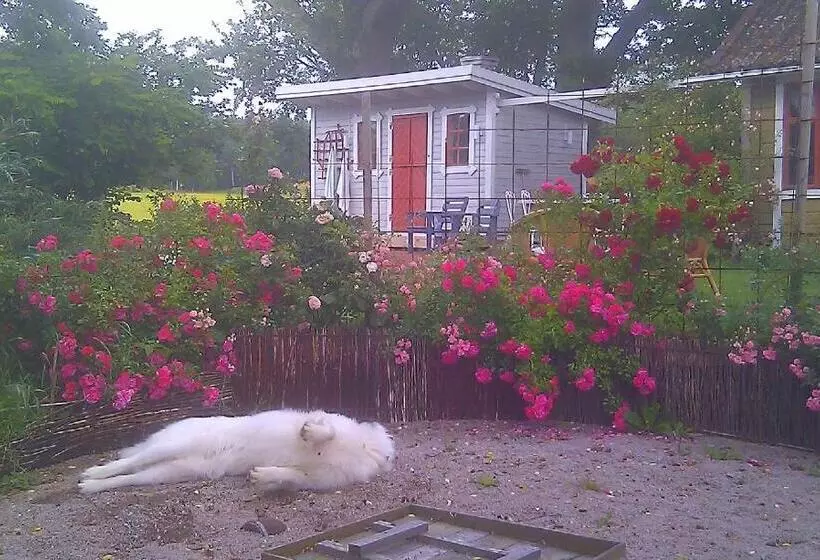 Boråkra Bed & Breakfast