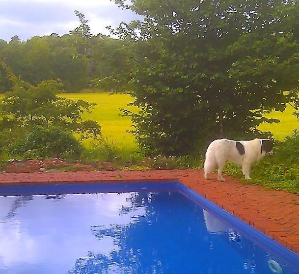 Boråkra Bed & Breakfast