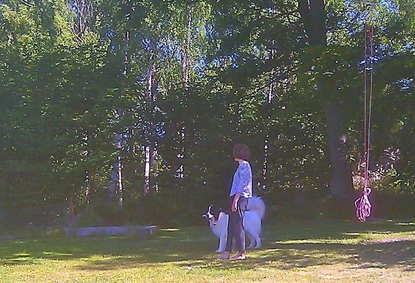 Boråkra Bed & Breakfast