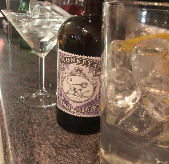 בית מלון כפרי Lapland River