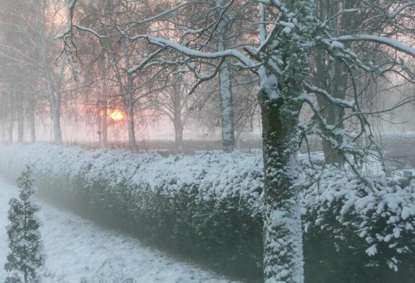 Skogis Bed & Breakfast