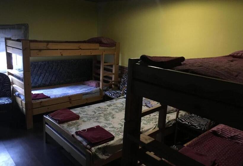 Tolli Hostel & Holiday House