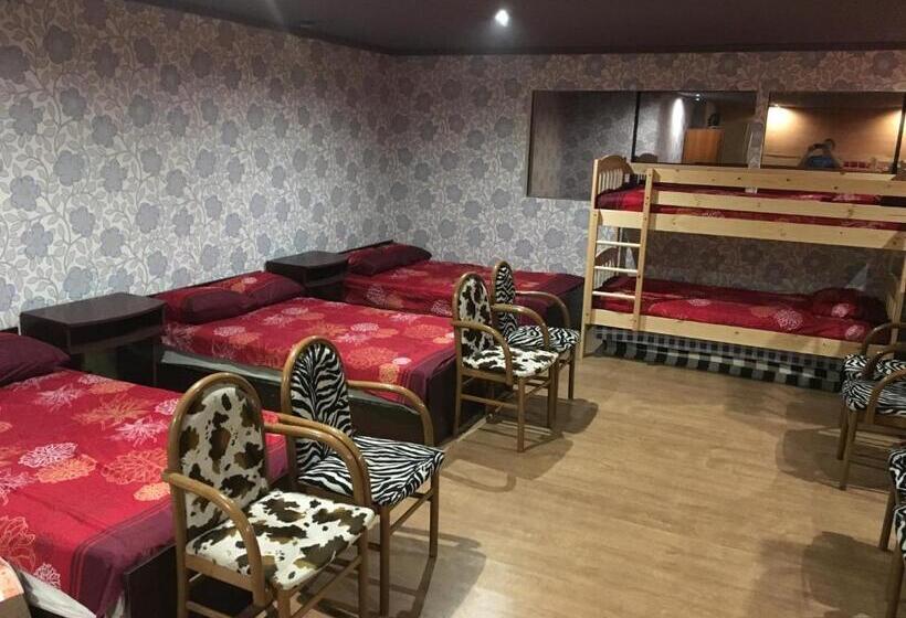 Tolli Hostel & Holiday House