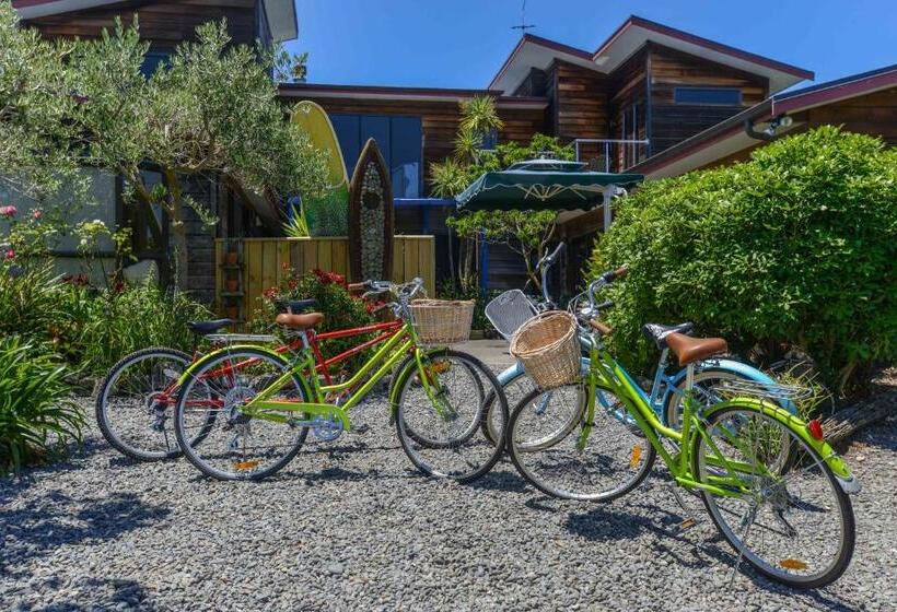 Absolute Beachfront B&b