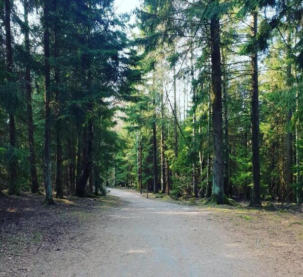 הוסטל Nordiska Folkhogskolan Bed And Breakfast