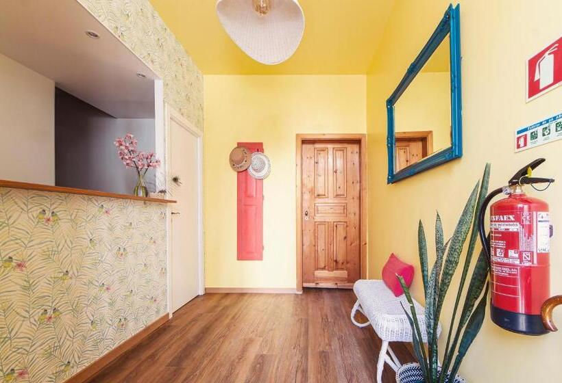 هاستل Sunlight House