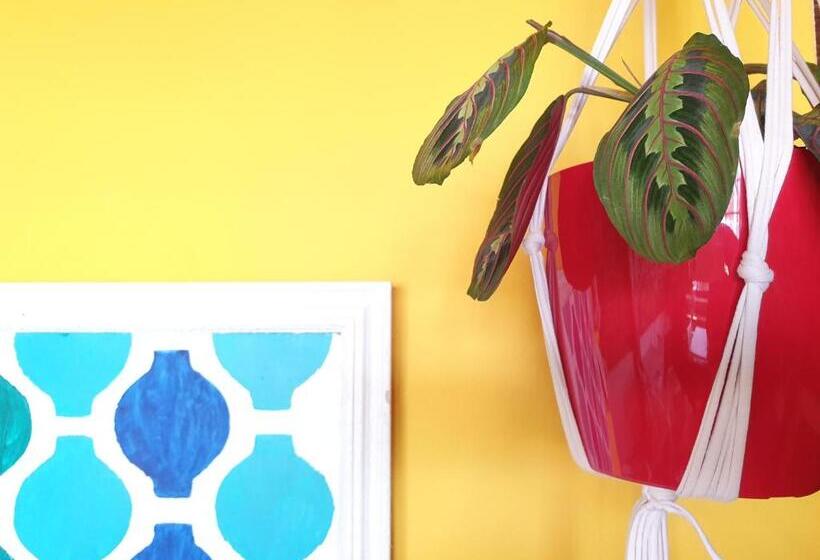 هاستل Sunlight House