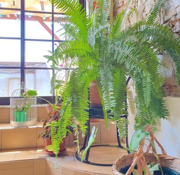 هاستل Sunlight House