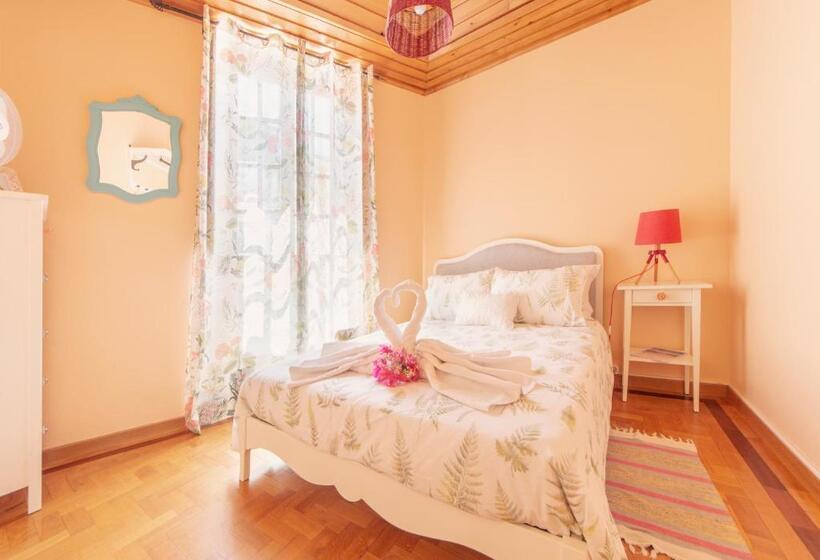 هاستل Sunlight House