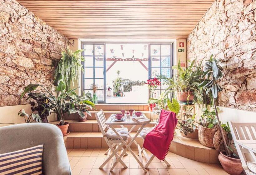 هاستل Sunlight House