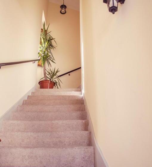 هاستل Sunlight House