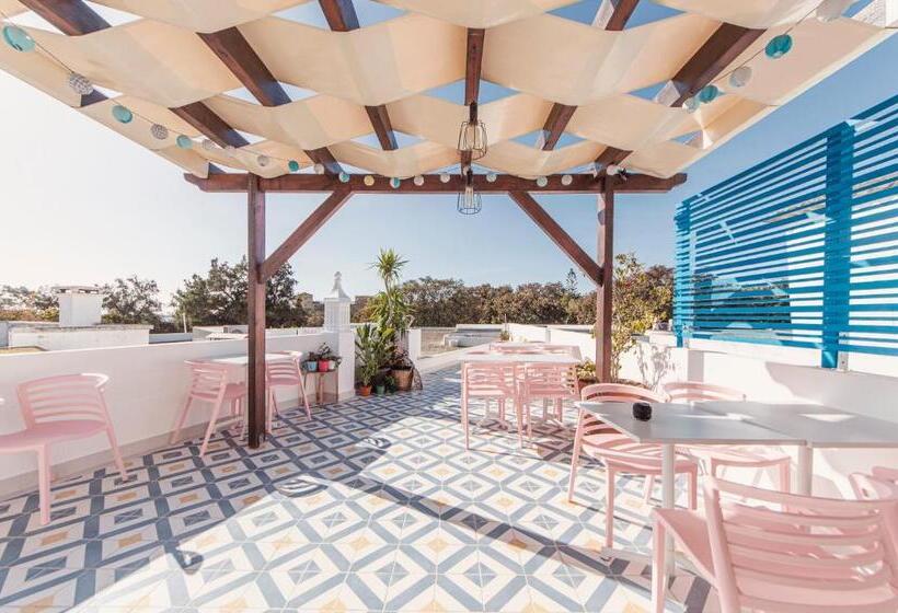 هاستل Sunlight House