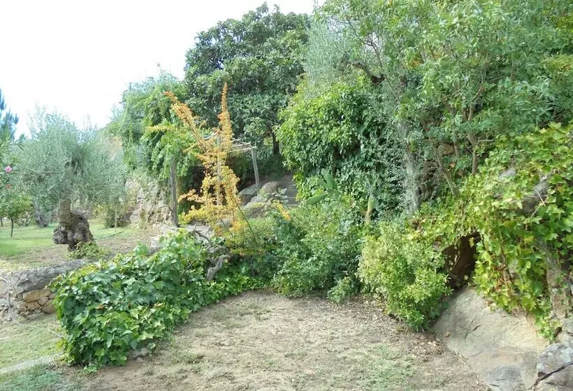 تختخواب و صبحانه Casa Covão Da Abitureira