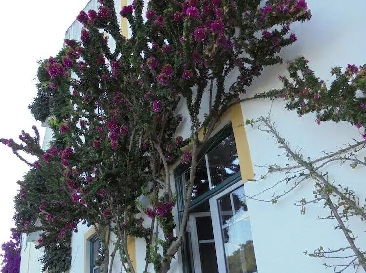 تختخواب و صبحانه Casa Covão Da Abitureira