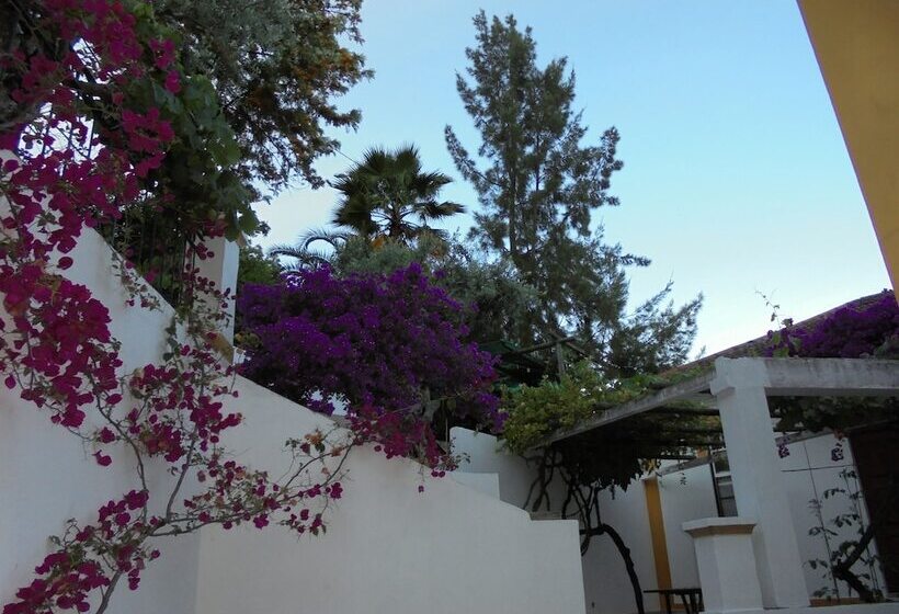 مبيت وإفطار Casa Covão Da Abitureira