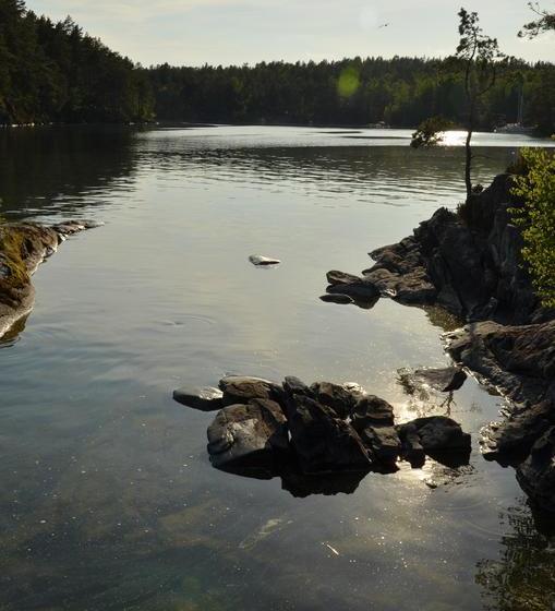 Tivedens Hostel Vandrarhem