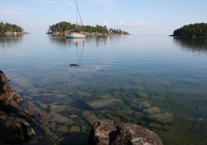 Tivedens Hostel Vandrarhem