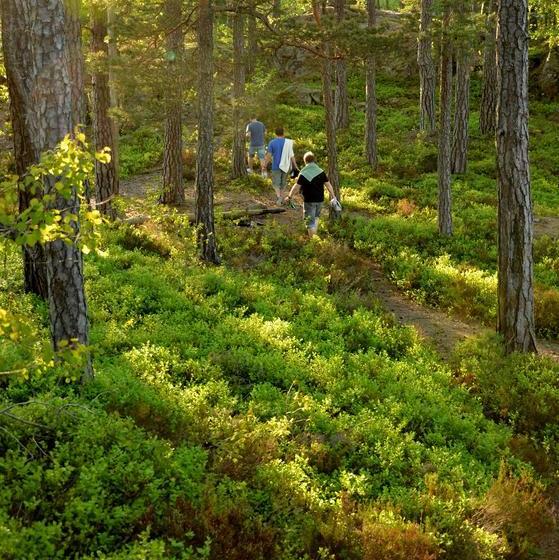 Tivedens Hostel Vandrarhem