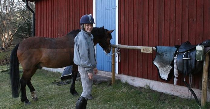 Tivedens Hostel Vandrarhem