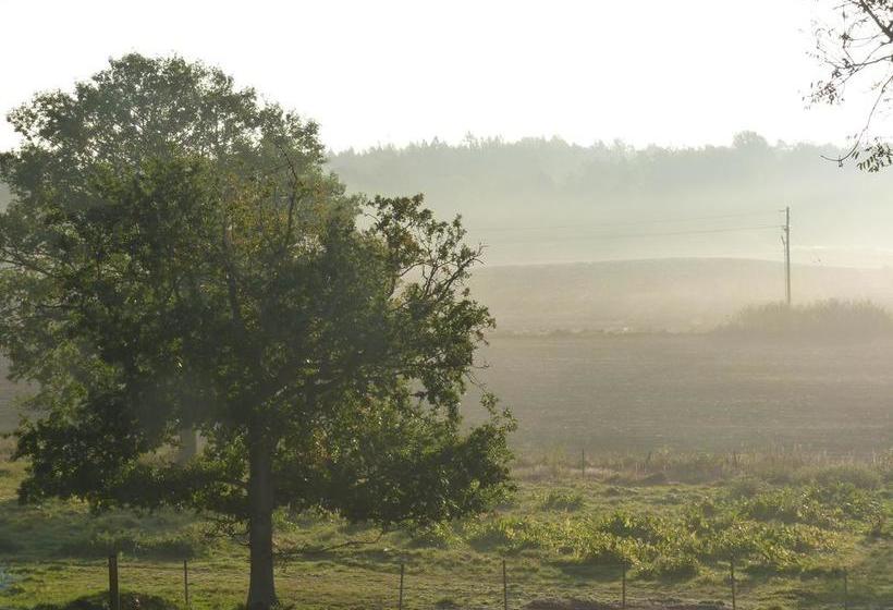 Nygårds Herrgård Bed & Breakfast