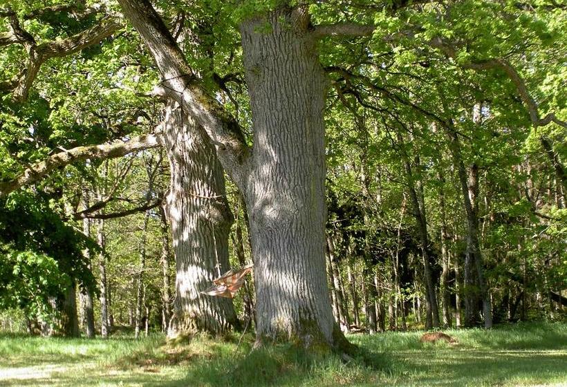 Nygårds Herrgård Bed & Breakfast