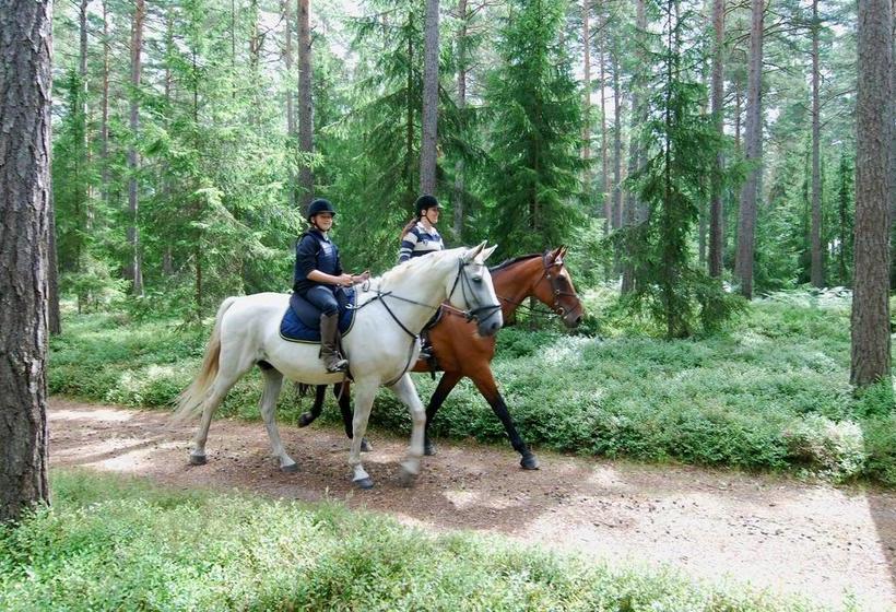 Nygårds Herrgård Bed & Breakfast