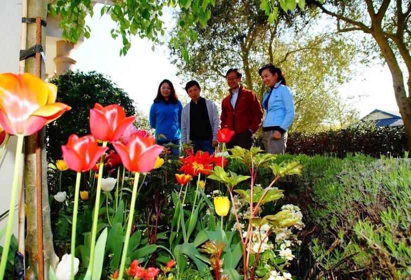 Olive House Bed And Breakfast