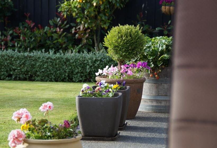 Olive House Bed And Breakfast