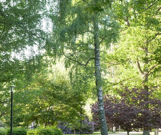 Ronneby Brunnspark Vandrarhem Och B&b